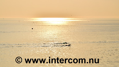 112 The Sea_85M1915_0203